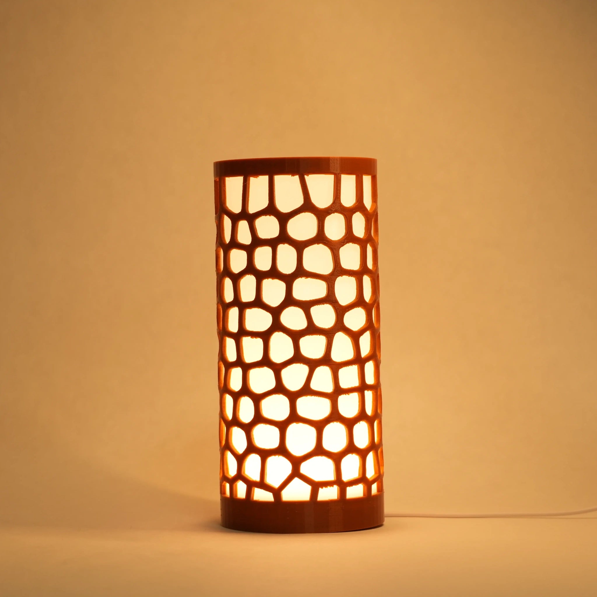 Amazon lamp